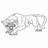 Panthers Colouring Momjunction Penrith sketch template