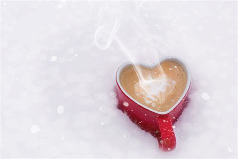Free Images Heart Love Organ Valentine S Day Sweetness Tooth