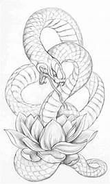 Skull Drawing Snake Tattoo Paintingvalley Drawings sketch template