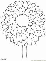 Coloring Flowers Pages Flower Marigold Printable Dahlia Realistic Mexico Kids Print Colouring Traceable Drawing Color Outline Sheets Countries Coloringhome Clipart sketch template