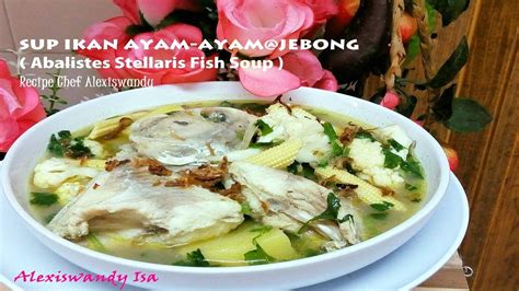 ikan ayam ayam  jebong abalistes stellaris fish soup resepi