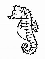 Coloring Pages Seahorse Sea Horse Cute Colouring Clipart sketch template