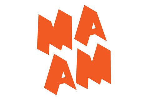 brand   logo  identity  maam  moth design