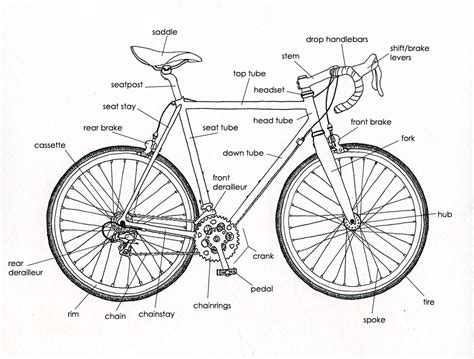 bicycle bicycle diagram