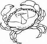Crab Coloring Colorare Disegni Granchi Krab Kraby Raki Granchio Kleurplaat Bambini Kolorowanki Kolorowanka sketch template