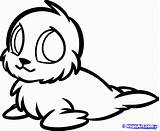 Seal Cute Baby Animal Drawing Coloring Animals Drawings Pages Sea Draw Clipart Pup Lion Harp Dragoart Sketches Elephant Step Drawn sketch template