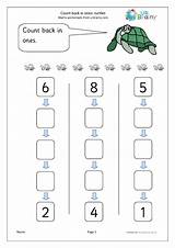 Count Turtles Back Worksheets Ones Urbrainy Counting Resources Monthly sketch template