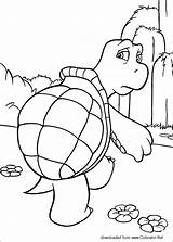 Hedge Over Coloring Turtle Cartoons Rj Pages sketch template