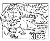 Leeuw Lions Gorilla Hippo Gorillas Kleurplaten Sandiegozoo Topkleurplaat sketch template