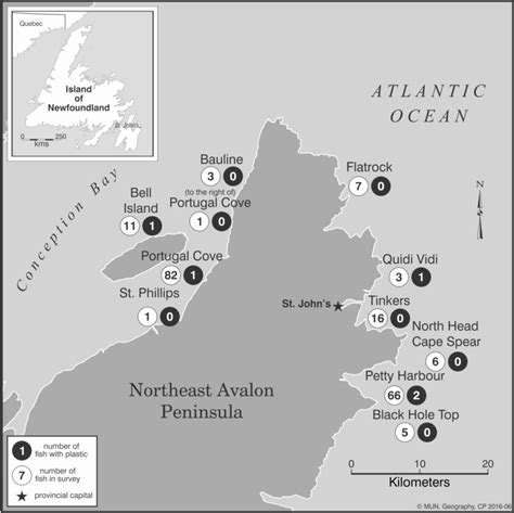 map  areas   avalon peninsula  newfoundland   fish gi