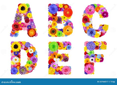floral alphabet isolated  white letters       stock