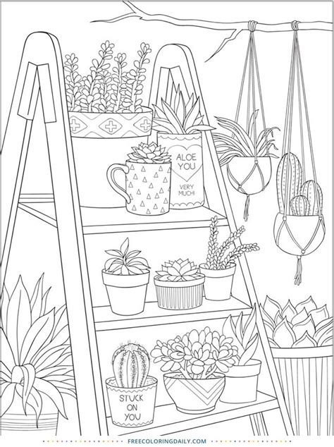 pin   coloring pages  adults kids