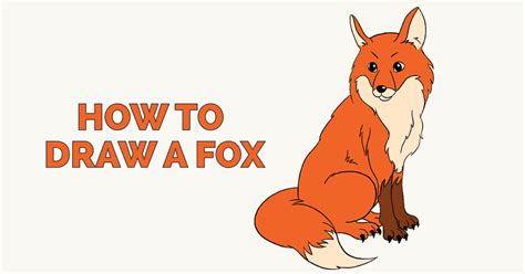 draw  fox    easy steps easy drawing guides