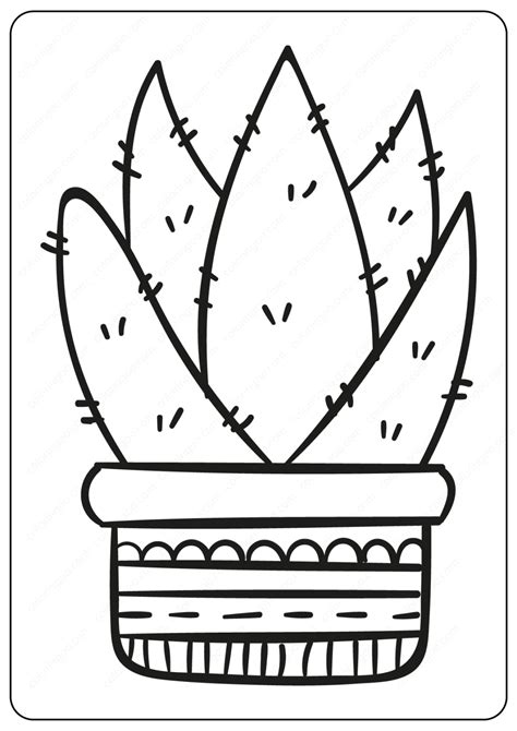 cute prickly cactus coloring pages book