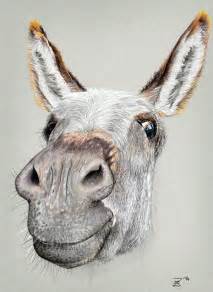 funny donkey  behance