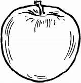 Apple Drawing Line Clip Vintage Drawings Bitten Apples Clipart Illustration Graphics Clipartmag Fairy Read sketch template