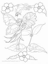 Flower Fairy Pages Coloring Getcolorings Color Drawn sketch template
