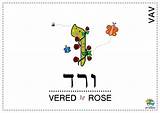 Coloring Alefbet Vav Pages Hebrew Learn Letter Time Hei Apprendimento Carattere Choose Board Ar sketch template