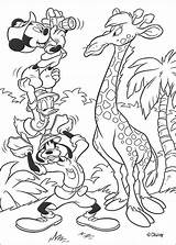 Coloring Pages Goofy Disney Mickey Mouse Duck Donald Color Kids sketch template