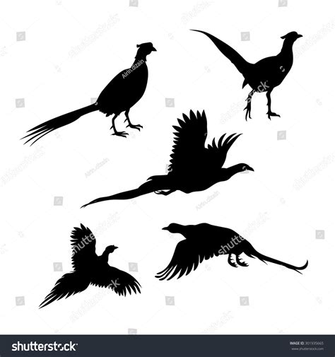 bird pheasant vector icons silhouettes set stock vector royalty