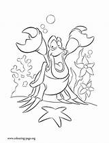 Coloring Sebastian Mermaid Little Sketch Pages Ariel Cartoonbucket Crab Cartoons Disney sketch template