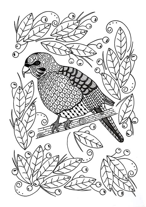 ornamental bird adult coloring page favecraftscom