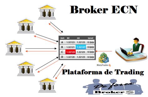 Forex Ecn Broker Metatrader User