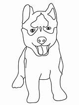 Husky Coloring Pages Baby sketch template