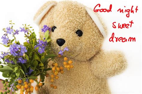 good night sweet dream message card  teddy bear purple flowers