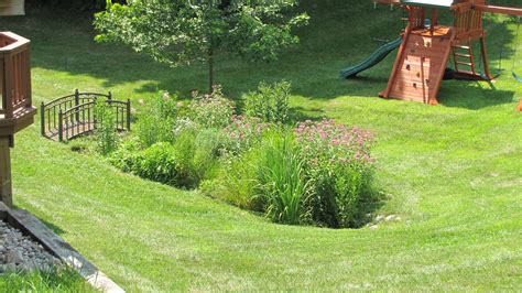 rain garden design construction  ann arbor mi creating