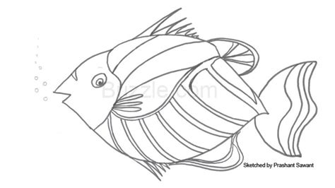 fish coloring pages fish coloring page coloring pages animal templates