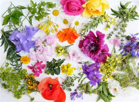 edible flowers  grow  spring farmers almanac plan