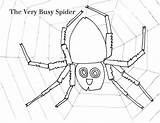 Spider Busy Very Coloring Carle Eric Web Working Pages Sequencing Activities Worksheet Color Worksheeto Size Via Getdrawings Drawing Print sketch template