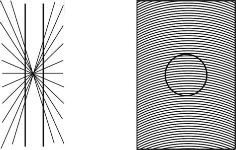 a hering illusion straight lines appear to be curved