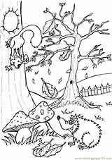 Coloring Forest Children Pages Woodland Popular sketch template