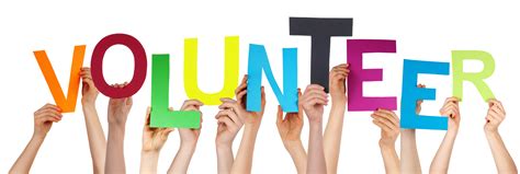 volunteerinternship opportunities