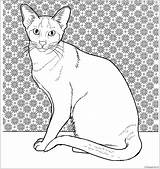 Cat Coloring Siamese Pages Oriental Cats Colouring Printable Color Drawing Supercoloring Kittens Gif Animals sketch template