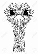 Coloring Ostrich Adults Mandala Tattoo Pages Choose Board Adult Drawn Color Shirt Hand Relaxing sketch template