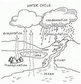 Water Cycle Within Coloring Pages Online Color Print sketch template