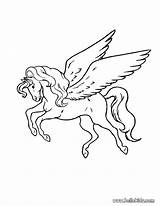 Pegasus Coloring Pages Drawing Flying Medusa Print Unicorn Color Horse Animals Printable Getdrawings Head Paintingvalley Library Clipart Choose Board Prancing sketch template