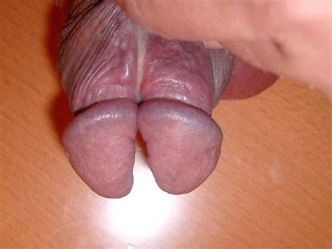 extreme dick penis tubezzz porn photos