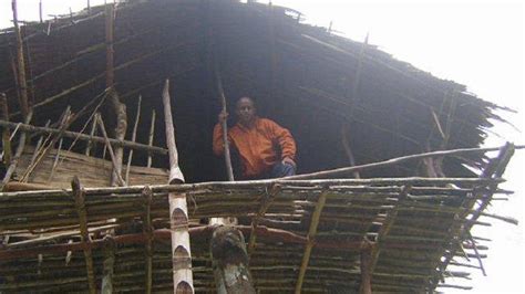 uniknya suku korowai papua tinggal rumah pohon tingginya capai meter halaman