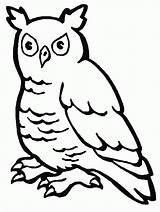 Coloring Pages Owl Kids Animals Label Birds Colorear Dibujos Para sketch template