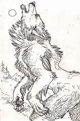 Werewolf Coloringfolder Werewolves Vampires Deviantart sketch template