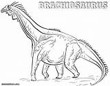 Brachiosaurus Coloring Pages Colorings Print sketch template