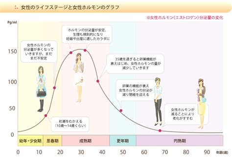 女性のライフステージと女性ホルモンのグラフ