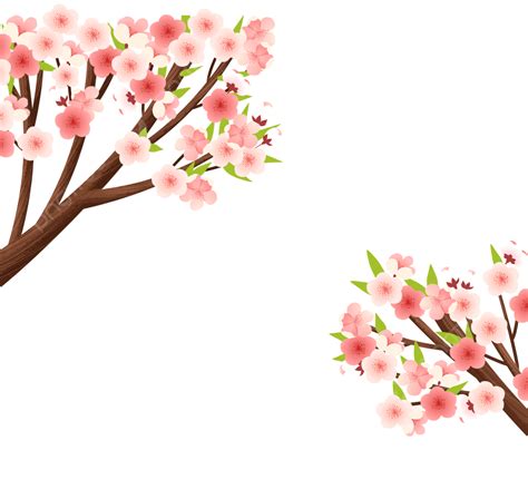 spring cherry tree cherry blossoms spring cherry tree cherry