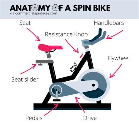 spin bike anatomy spin class spin bikes bike