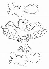 Eagle Coloring Cartoon Pages Baby Kids Drawing Color Getcolorings Getdrawings sketch template