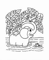 Jungle Coloring Pages Awesome Preschoolers Elephant 2o Getcolorings Getdrawings sketch template